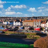 Buy canvas prints of Eyemouth Panorama by Navin Mistry