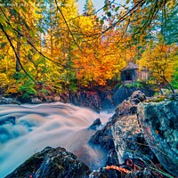Buy canvas prints of Autumn colours at the Hermitage. by Navin Mistry