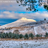 Buy canvas prints of Winter and the East Lomond Hill by Navin Mistry