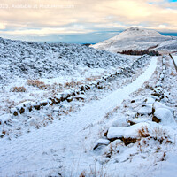 Buy canvas prints of A winter scene looking towards East Lomond Hill  by Navin Mistry