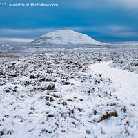 Buy canvas prints of A view of West Lomond Hill by Navin Mistry