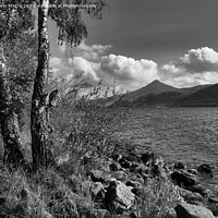 Buy canvas prints of A view of Schiehallion from Loch Rannoch by Navin Mistry