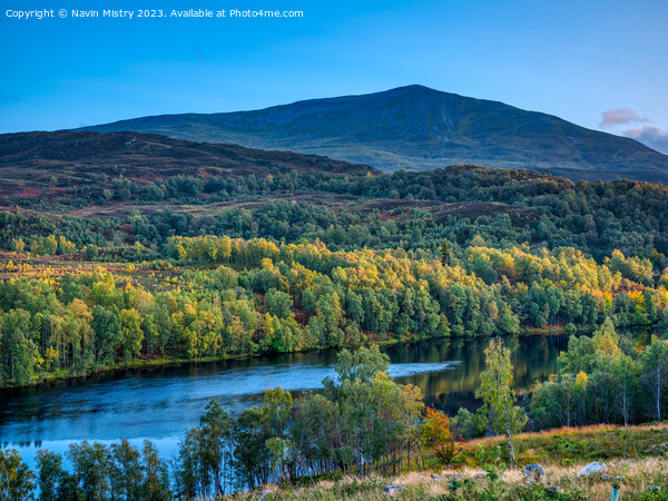 A view of Schiehallion in Autumn Picture Board by Navin Mistry