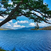 Buy canvas prints of A view of Loch Rannoch, Perthshire by Navin Mistry