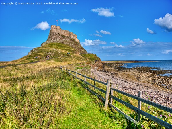 A view of Lindisfarne Castle Picture Board by Navin Mistry