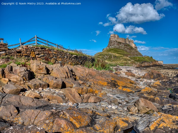 Lindisfarne Castle and Blue Skies Picture Board by Navin Mistry