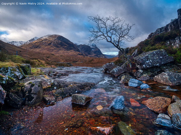 A view of the a burn and lone tree Glen Coe Scotla Picture Board by Navin Mistry