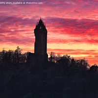 Buy canvas prints of Sunset and the National Wallace Monument by Navin Mistry