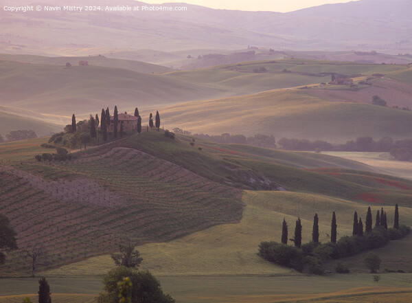 A Tuscan Farmhouse, Val d'Orcia Picture Board by Navin Mistry