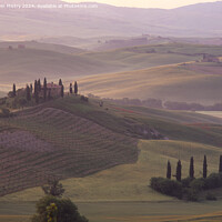 Buy canvas prints of A Tuscan Farmhouse, Val d'Orcia by Navin Mistry