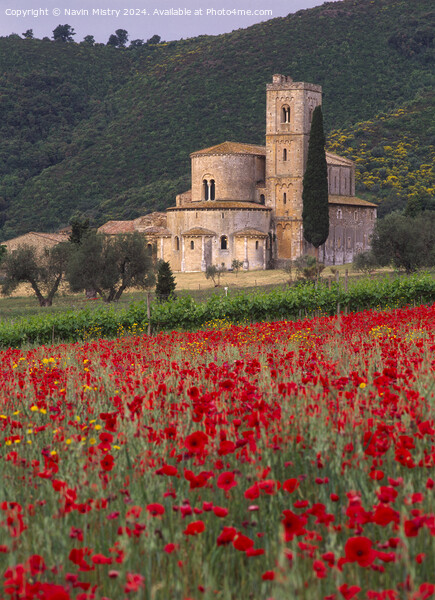 Abbey of Sant'Antimo, Tuscany, Italy Picture Board by Navin Mistry
