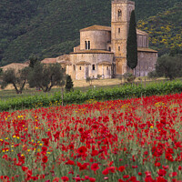 Buy canvas prints of Abbey of Sant'Antimo, Tuscany, Italy by Navin Mistry