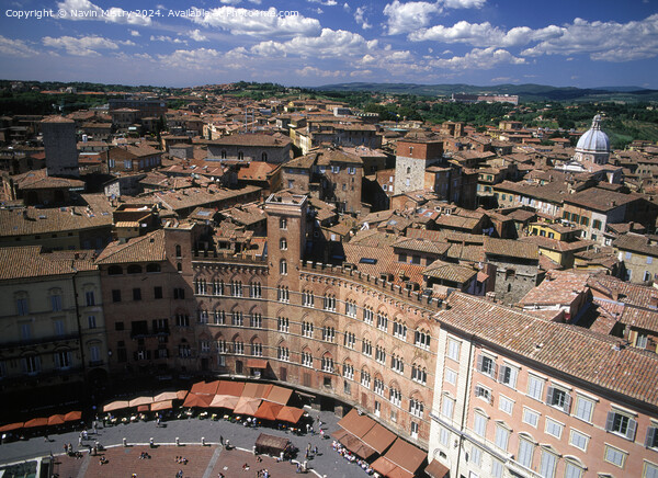 A view over the roof tops of Siena, Italy Picture Board by Navin Mistry