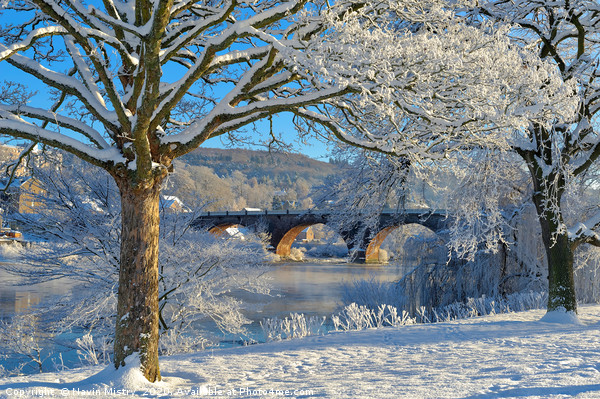 Winter in Perth, Scotland Picture Board by Navin Mistry