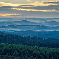 Buy canvas prints of A view of the Aberdeenshire countryside by Navin Mistry