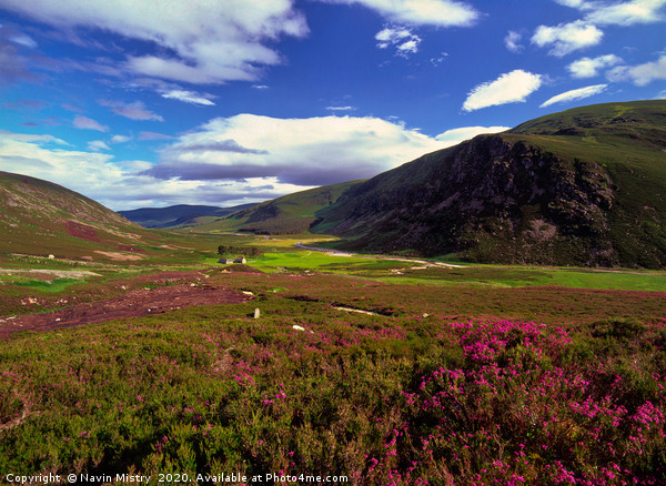 A view of Glen Esk, Scotland Picture Board by Navin Mistry