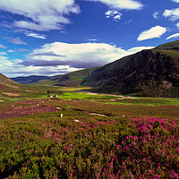 Buy canvas prints of A view of Glen Esk, Scotland by Navin Mistry