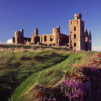 Buy canvas prints of Ruins of New Slains Castle, Aberdeenshire by Navin Mistry