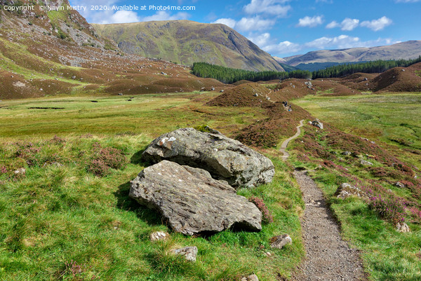 Path through the Corrie Fee, Glen Clova, Cairngorm Picture Board by Navin Mistry