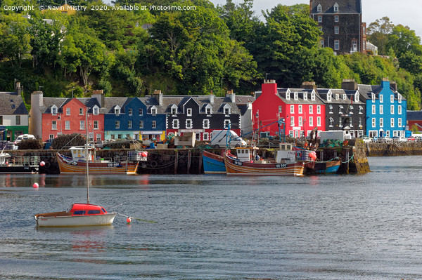 Tobermory Harbour, Isle of Mull, Scotland Picture Board by Navin Mistry