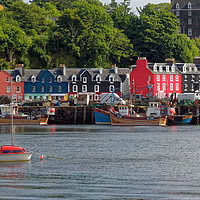 Buy canvas prints of Tobermory Harbour, Isle of Mull, Scotland by Navin Mistry