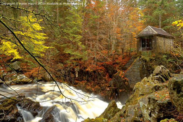 The Hermitage and River Braan, near Dunkeld, Perthshire, Scotland Picture Board by Navin Mistry