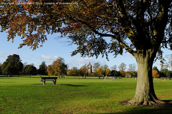 The South Inch, Perth, Scotland Picture Board by Navin Mistry