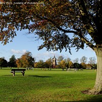 Buy canvas prints of The South Inch, Perth, Scotland by Navin Mistry