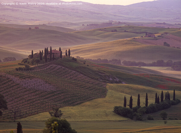 Dawn in the San Quirico d'Orcia, Tuscany, Italy Picture Board by Navin Mistry