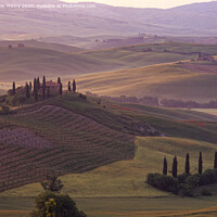 Buy canvas prints of Dawn in the San Quirico d'Orcia, Tuscany, Italy by Navin Mistry