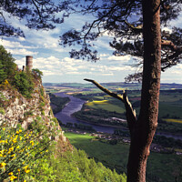 Buy canvas prints of Kinnoull Hill , Perth, Scotland  by Navin Mistry