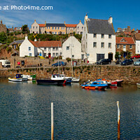 Buy canvas prints of Crail Harbour Panoramic by Navin Mistry