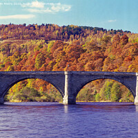 Buy canvas prints of Dunkeld Bridge, Perthshire by Navin Mistry