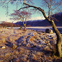 Buy canvas prints of A winter scene of Glen Etive, Highlands, Scotland by Navin Mistry