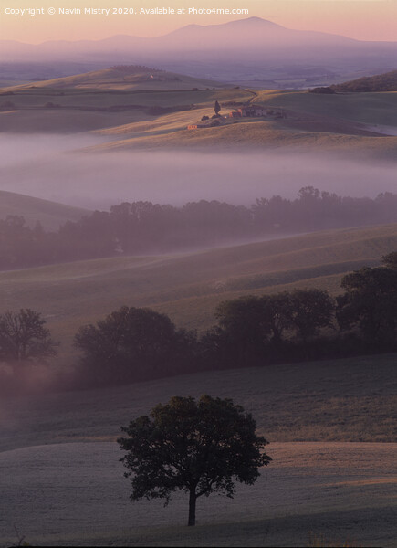 A misty morning Val Val d'Orcia, Tuscany, Italy Picture Board by Navin Mistry