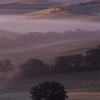 Buy canvas prints of A misty morning Val Val d'Orcia, Tuscany, Italy by Navin Mistry