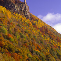 Buy canvas prints of Autumn Colours Kinnoull Hill, Perth, Scotland by Navin Mistry