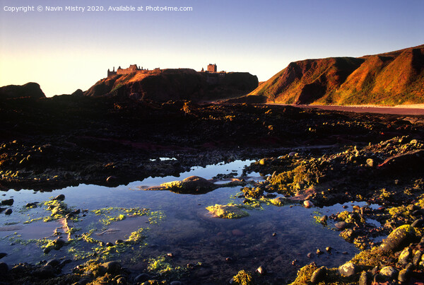 Dunnottar  Castle near Stonehaven seen from the rocky beach below Picture Board by Navin Mistry