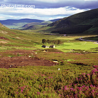 Buy canvas prints of A Panoramic image of Glen Esk, Invermark, Scotland  by Navin Mistry