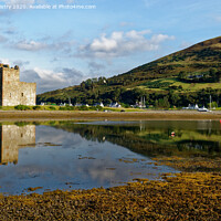 Buy canvas prints of Lochranza Castle  by Navin Mistry