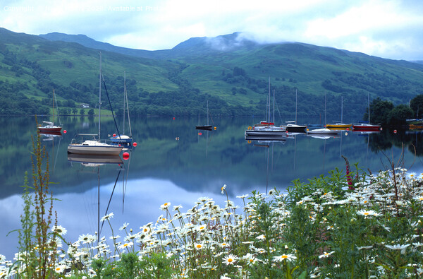 Loch Earn, Scotland Picture Board by Navin Mistry