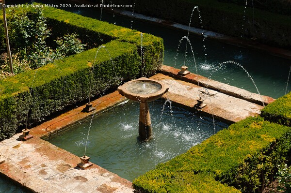 Alhambra Palace fountain Picture Board by Navin Mistry