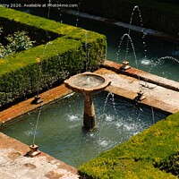 Buy canvas prints of Alhambra Palace fountain by Navin Mistry