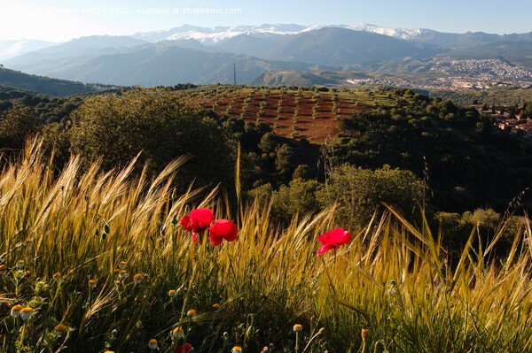 Granada Landscape Picture Board by Navin Mistry