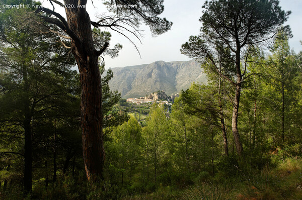 Guadalest, Spain seen from a the surrounding forest  Picture Board by Navin Mistry