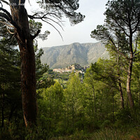 Buy canvas prints of Guadalest, Spain seen from a the surrounding forest  by Navin Mistry