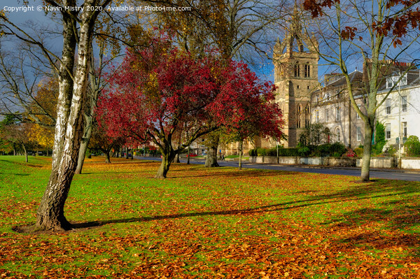 Autumn Colours, South Inch, Perth Picture Board by Navin Mistry