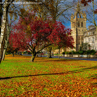 Buy canvas prints of Autumn Colours, South Inch, Perth by Navin Mistry