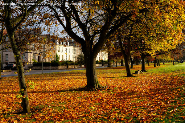 The South Inch, Perth, Scotland in Autumn Picture Board by Navin Mistry