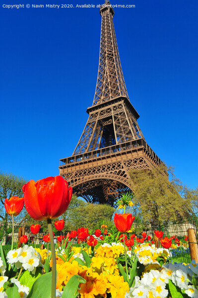 Eiffel Tower Picture Board by Navin Mistry